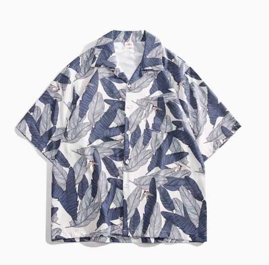 Hawaii-18